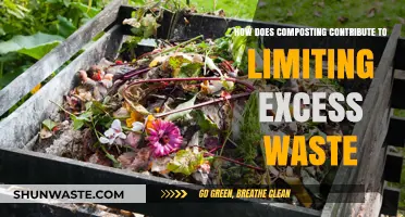 Composting: A Powerful Tool to Reduce Excess Waste Effectively