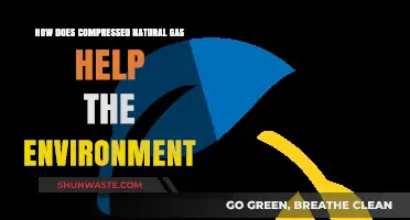 Compressed Natural Gas: A Cleaner, Greener Fuel for a Sustainable Future