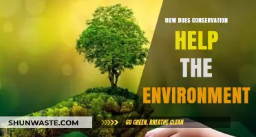 Conservation's Impact: Protecting Ecosystems, Preserving Biodiversity, and Sustaining Our Planet