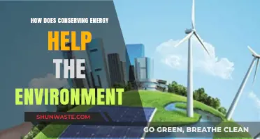 Energy Conservation: Protecting Our Planet and Preserving Natural Resources