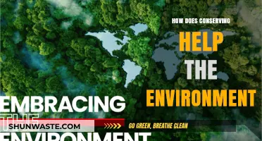 Sustainable Living: How Conservation Efforts Protect Our Planet's Future