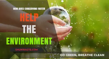 Water Conservation: A Vital Step Towards a Sustainable Environment