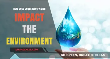 Water Conservation: A Key to Protecting Our Environment and Future
