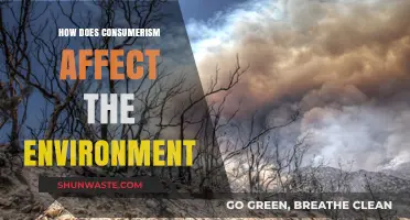 Consumerism's Environmental Impact: Uncovering the Hidden Costs of Our Spending
