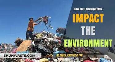 Consumerism's Environmental Toll: Uncovering the Hidden Costs of Overconsumption