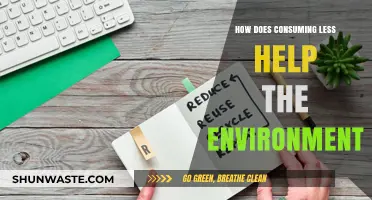 Reduce Consumption, Save the Planet: Simple Steps for a Greener Future