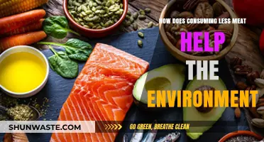 Reducing Meat Intake: A Powerful Step Toward Environmental Sustainability