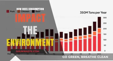 Consumption's Environmental Footprint: Understanding Our Impact on the Planet
