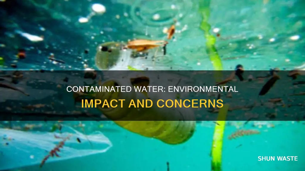 how does contaminated water affect the environment