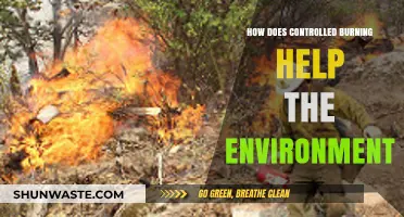 Controlled Burning: Revitalizing Ecosystems and Promoting Environmental Health Naturally