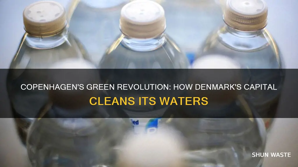 how does copenhagen denmark reduce water pollution