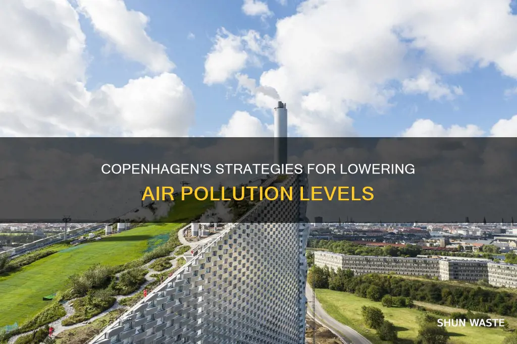 how does copenhagen reduce air pollution