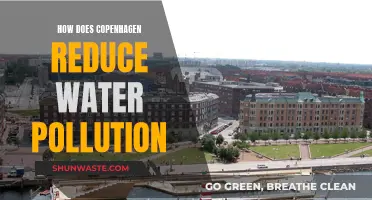 Copenhagen's Water Conservation: Strategies to Reduce Pollution