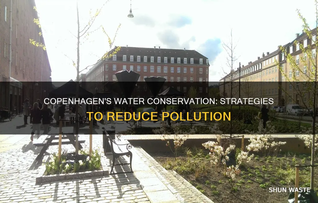 how does copenhagen reduce water pollution