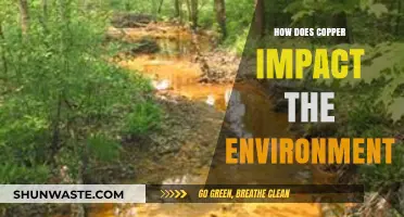 Copper's Environmental Impact: Benefits, Risks, and Sustainable Practices Explored