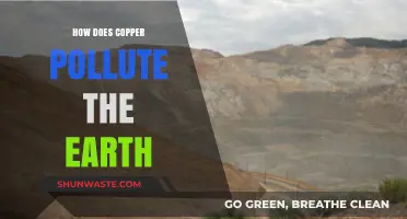 The Toxic Truth: Copper's Environmental Impact
