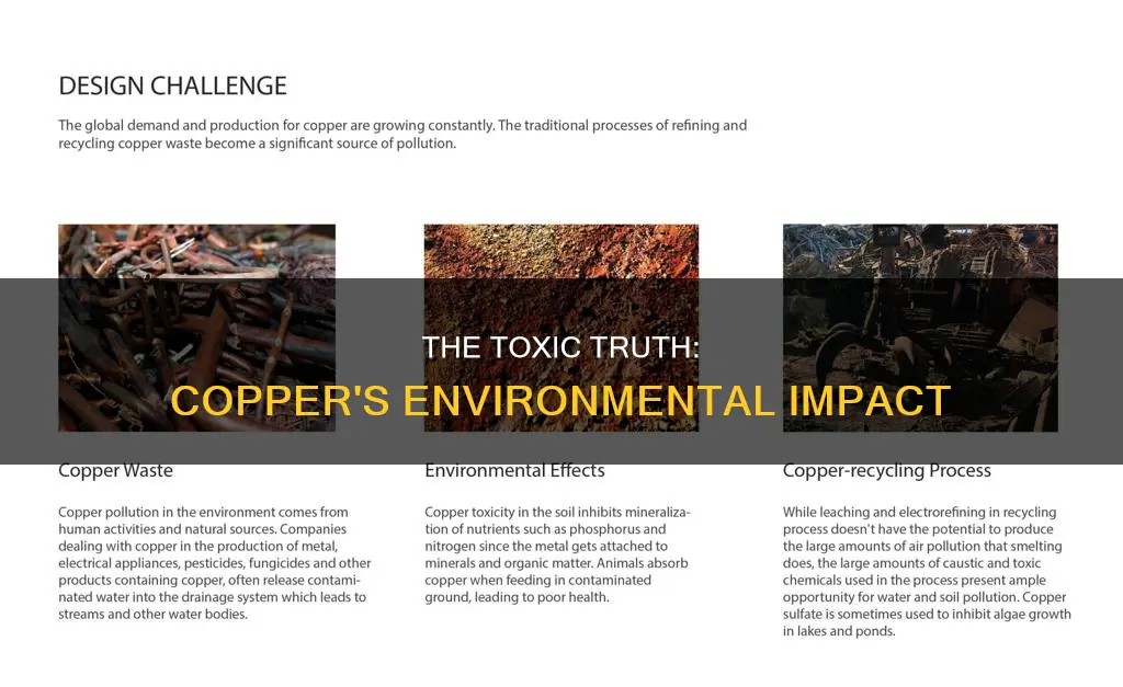 how does copper pollute the earth