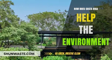 Costa Rica's Green Revolution: Sustainable Practices Protecting Our Planet