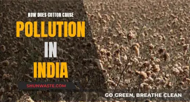 Cotton's Dark Side: Unveiling India's Environmental Crisis