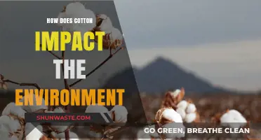 Cotton's Environmental Footprint: Impacts, Sustainability, and Greener Alternatives