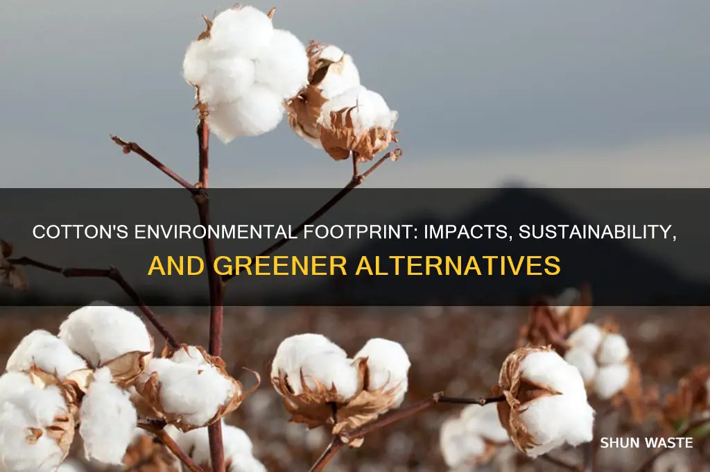 how does cotton impact the environment