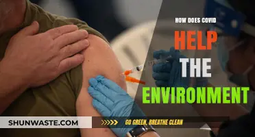 COVID-19's Unexpected Silver Lining: Environmental Benefits Amidst the Pandemic