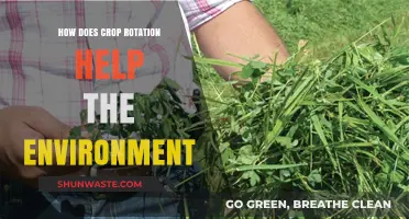 Sustainable Farming: Crop Rotation's Environmental Benefits and Soil Health