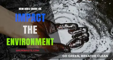 Crude Oil's Environmental Impact: Pollution, Climate Change, and Ecosystem Destruction