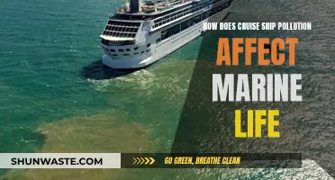 Cruise Ship Pollution: Marine Life Under Threat