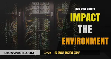 Crypto's Environmental Footprint: Unveiling the Green and Gray Realities