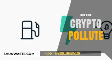 The Dark Side of Crypto: Energy and the Environment