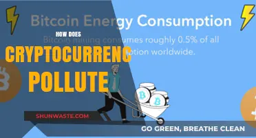 Cryptocurrency's Dark Side: Energy Consumption and Environmental Impact
