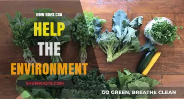 CSA Practices: Sustainable Farming's Impact on Environmental Conservation