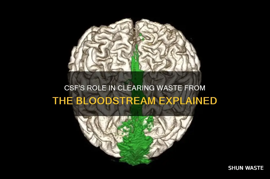 how does csf clear away waste bloodstream
