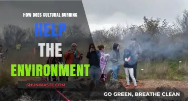 Cultural Burning: Reviving Ecosystems and Restoring Environmental Balance Naturally