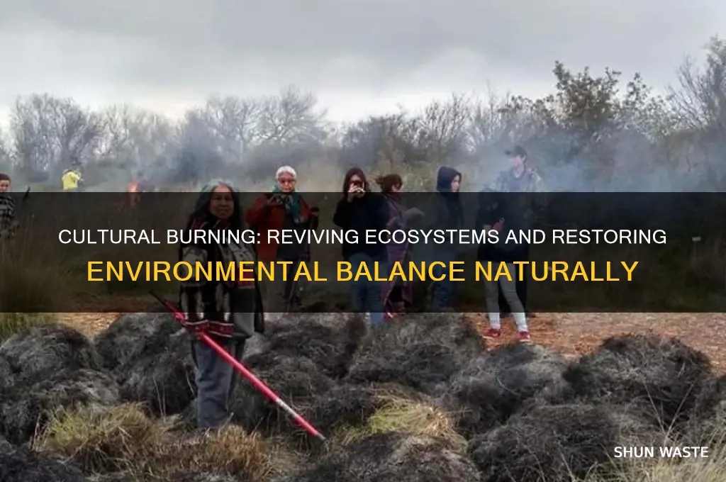 how does cultural burning help the environment