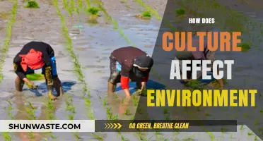 Cultural Influences on Environmental Practices and Sustainability