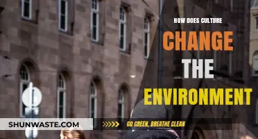 Cultural Shifts: Transforming Environments Through Traditions and Human Practices
