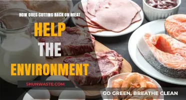 Reducing Meat Consumption: A Powerful Step Toward Environmental Sustainability
