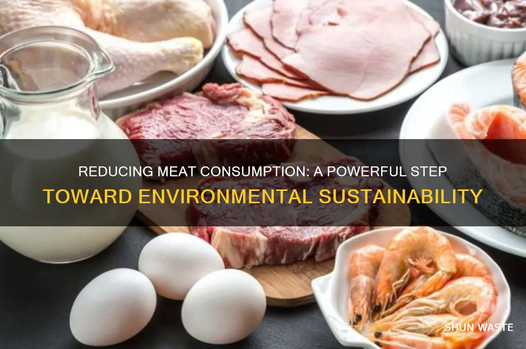 how does cutting back on meat help the environment