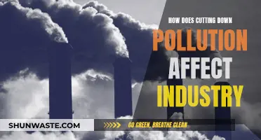 Pollution Reduction: Impact on Industry and the Environment