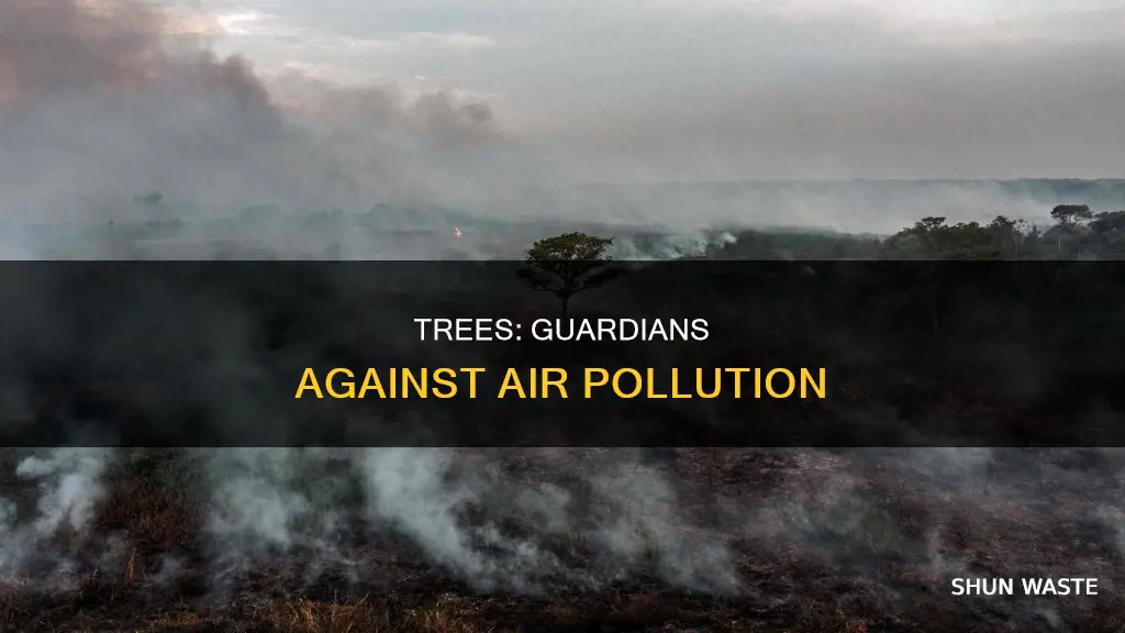 how does cutting down trees affect air pollution