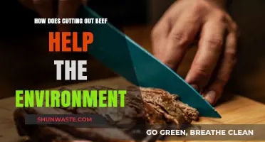 Cutting Beef: A Powerful Step Toward a Greener Planet