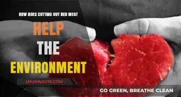 Red Meat Reduction: A Sustainable Choice for Our Planet's Future