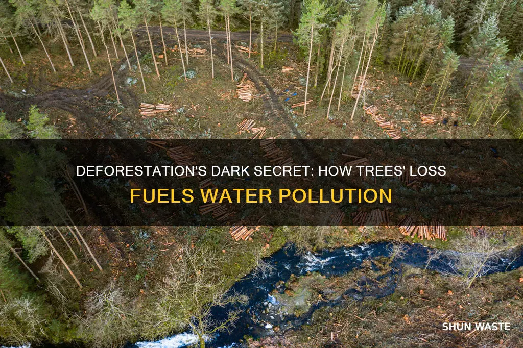 how does cutting trees cause water pollution