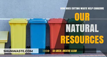 Cutting Waste: A Powerful Strategy to Preserve Our Natural Resources