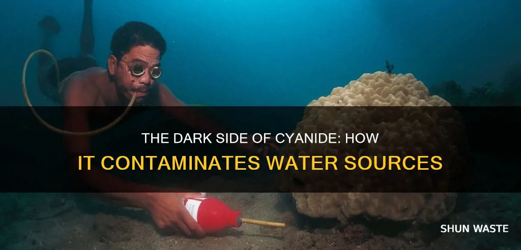 how does cyanide pollute water