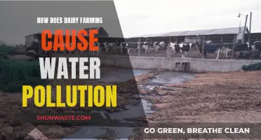 Dairy's Dirty Secret: How Milk Production Pollutes Our Waterways