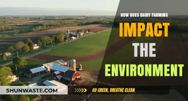 Dairy Farming's Environmental Impact: Sustainability Challenges and Solutions Explored