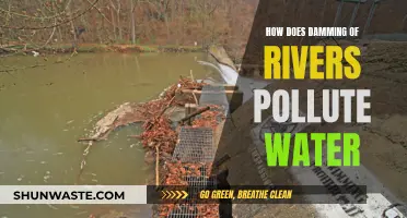 Damming Rivers: Unveiling the Hidden Water Pollution Crisis